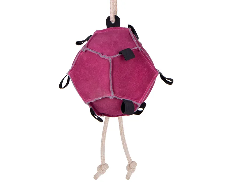QHP Horse Toy Ball in Pink-1